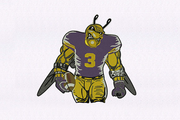 Review: Football Playing Bug for Boutique Apparel